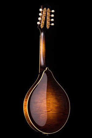 Collings MT2 V Varnish A-style Mandolin 