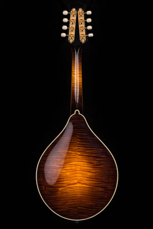 Collings MT2 V Varnish A-style Mandolin 